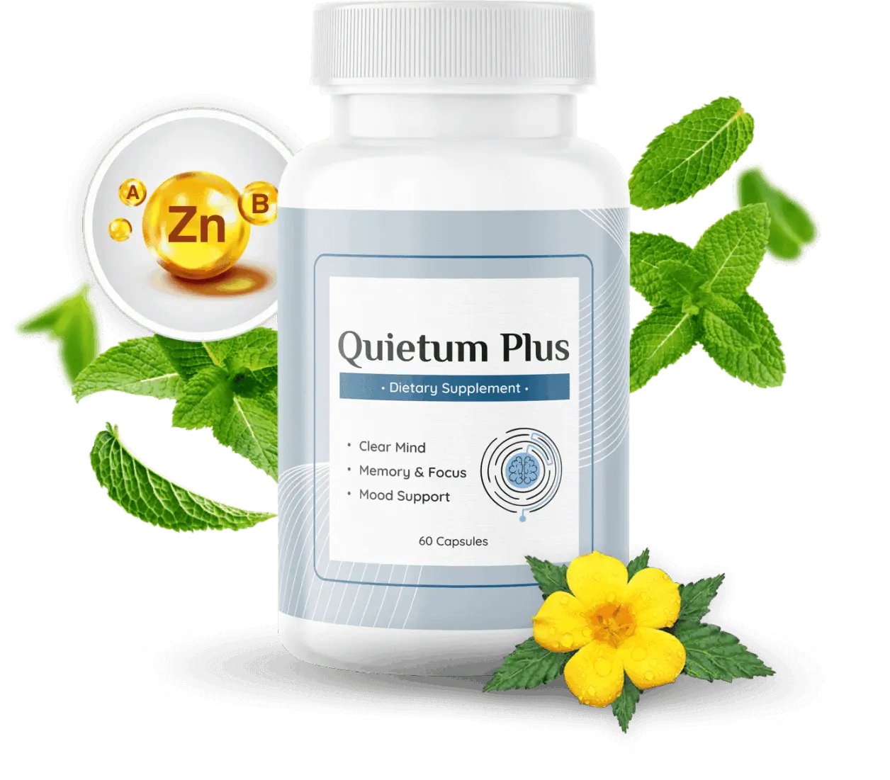 Quietum Plus Package buy now
